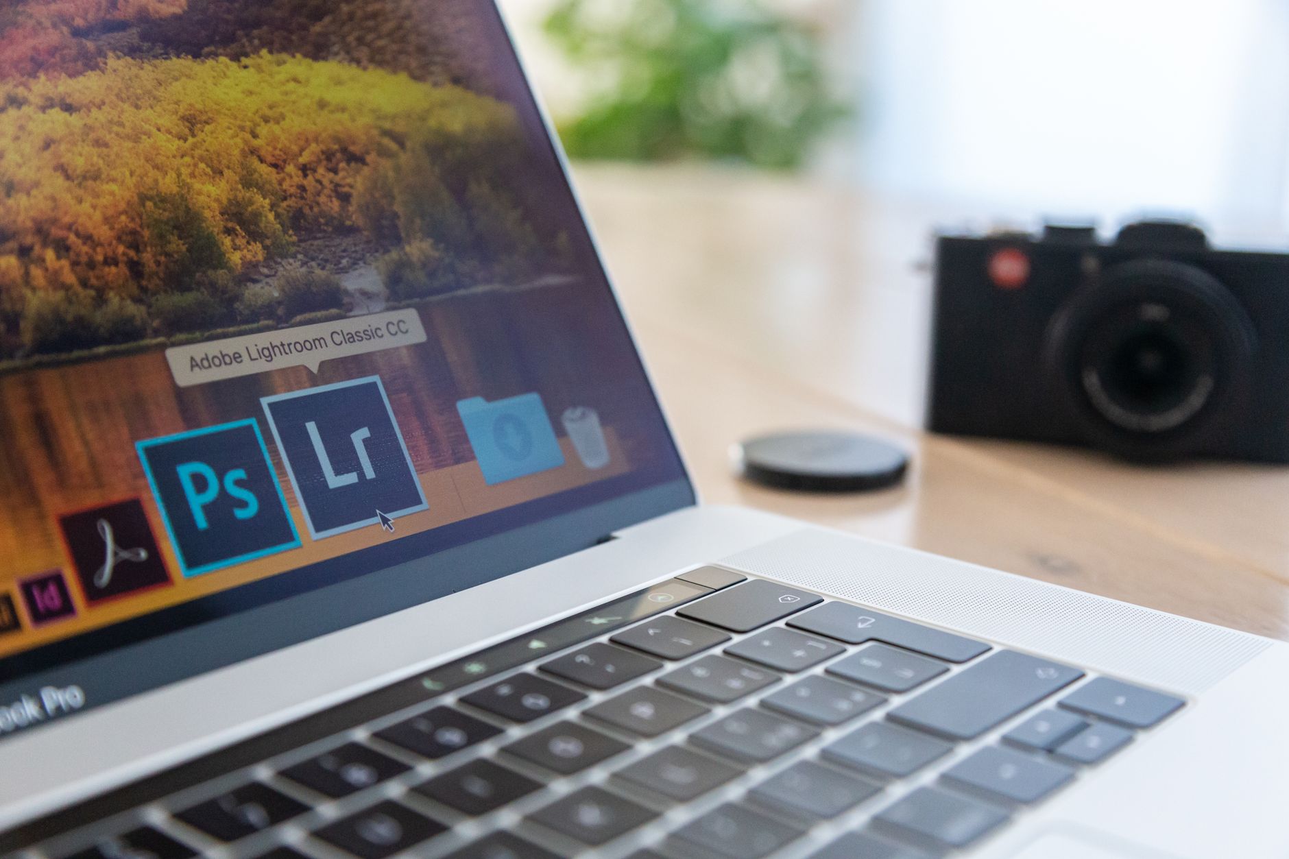 Logiciel gratuit ou service en ligne : quelle solution pour chaque usage photo ? — interface de logiciel de retouche photo